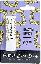 Бальзам для губ "Черника" Friends Blueberry Lip Balm