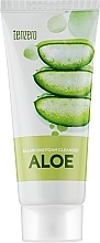 Tasakaalustav puhastusvaht aloe vera ekstraktiga Tenzero Balancing Foam Cleanser Aloe