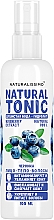 Ανθόνερο Μύρτιλο Naturalissimo Blueberry Hydrolat