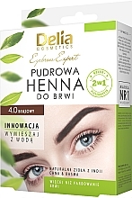 Delia Cosmetics Eyebrow Expert Brow Henna 眉毛用ヘナ