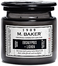 Ароматическая свеча Colonial Candle Black Tea Flora Scented Jar,M Baker Eucalyptus Lichen