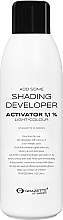 Aktivators Grazette Add Some Shading Developer Activator 1,1%