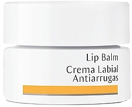 Бальзам для губ Dr. Hauschka Lip Balm