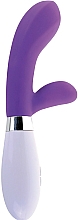 Ultra-glattes Silikon-G-Punkt-Massagegerät mit externerund und interner Vibration lila Pipedream Classix Silicone G-Spot Rabbit