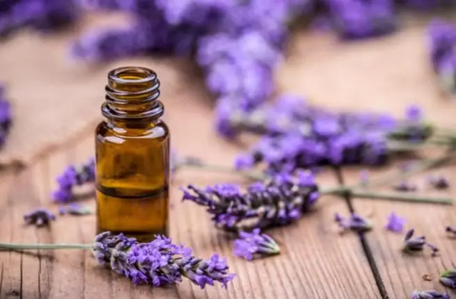 Aromatiese olies vir slaap: geskikte aromas, doeltreffendheid