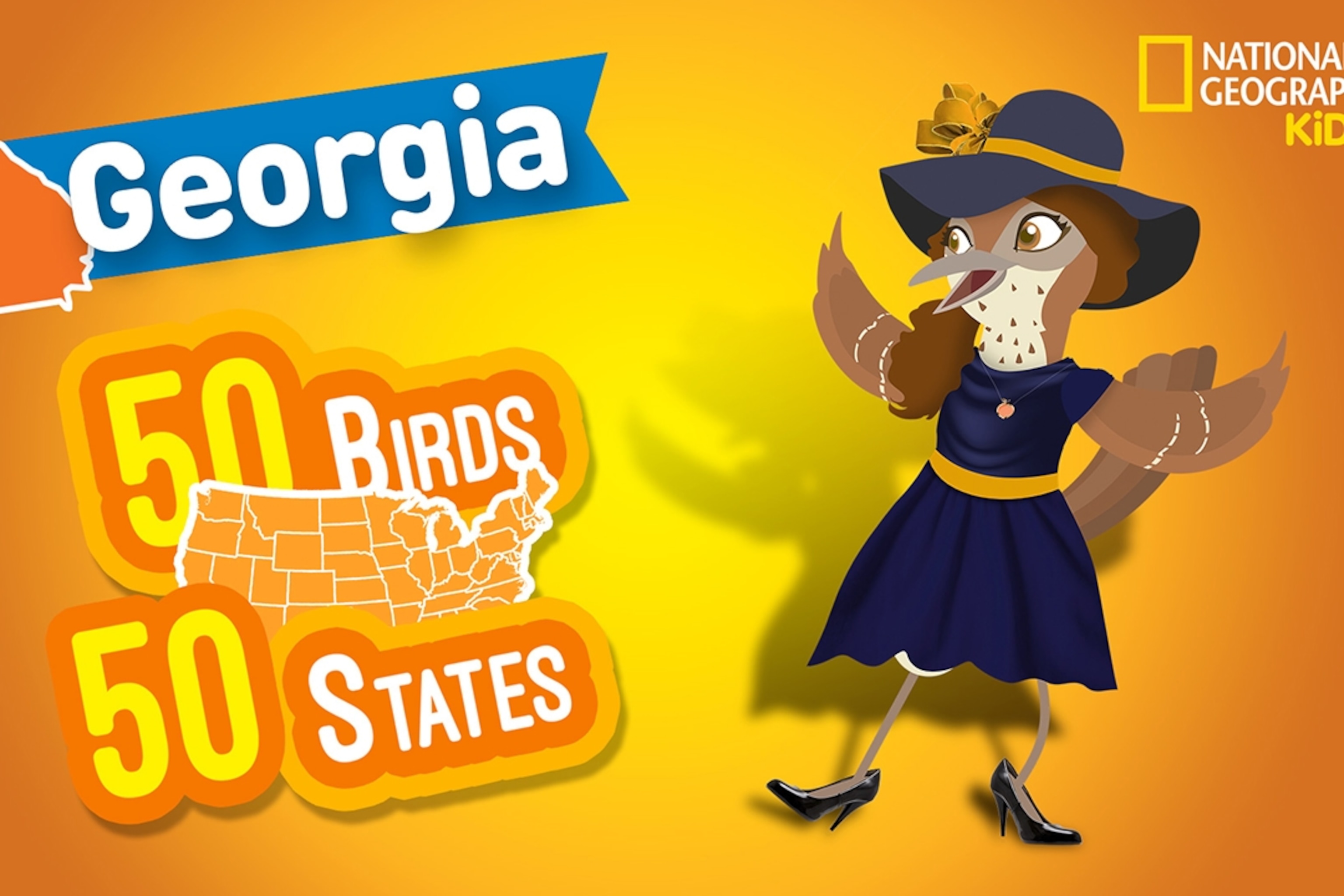 Georgia State Bird Name