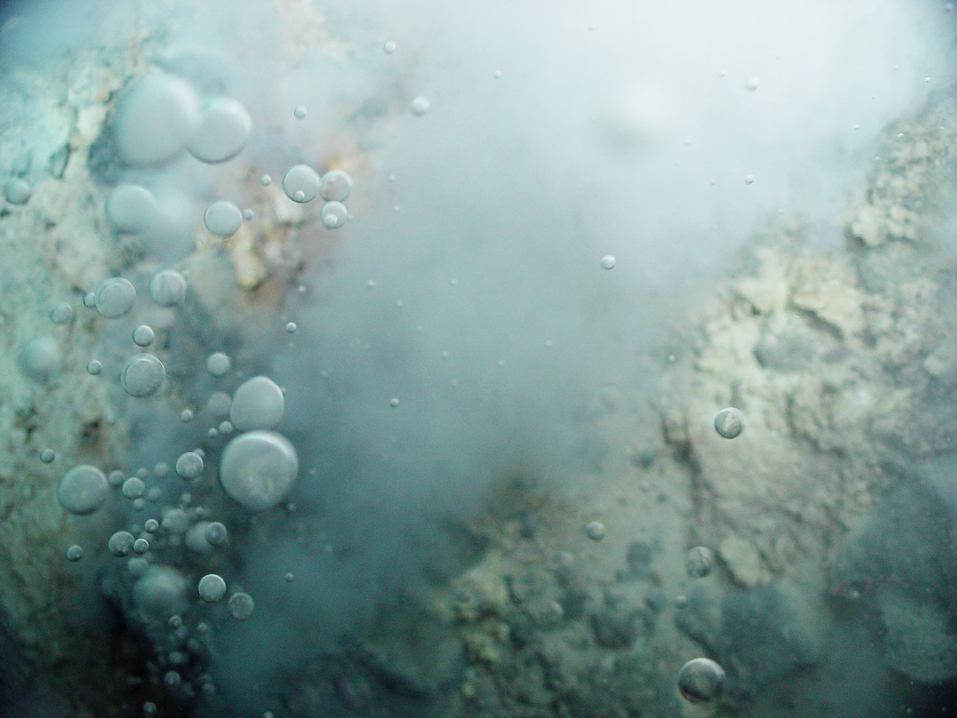 CO2 bubbles from hydrothermal vent