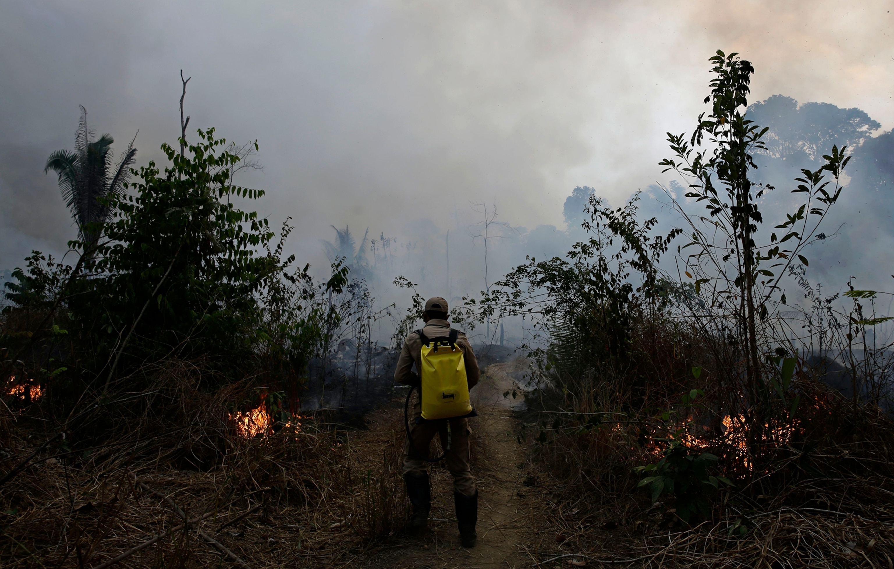 Map See How Much Of The Amazon Forest Is Burning How It Compares To Other Years