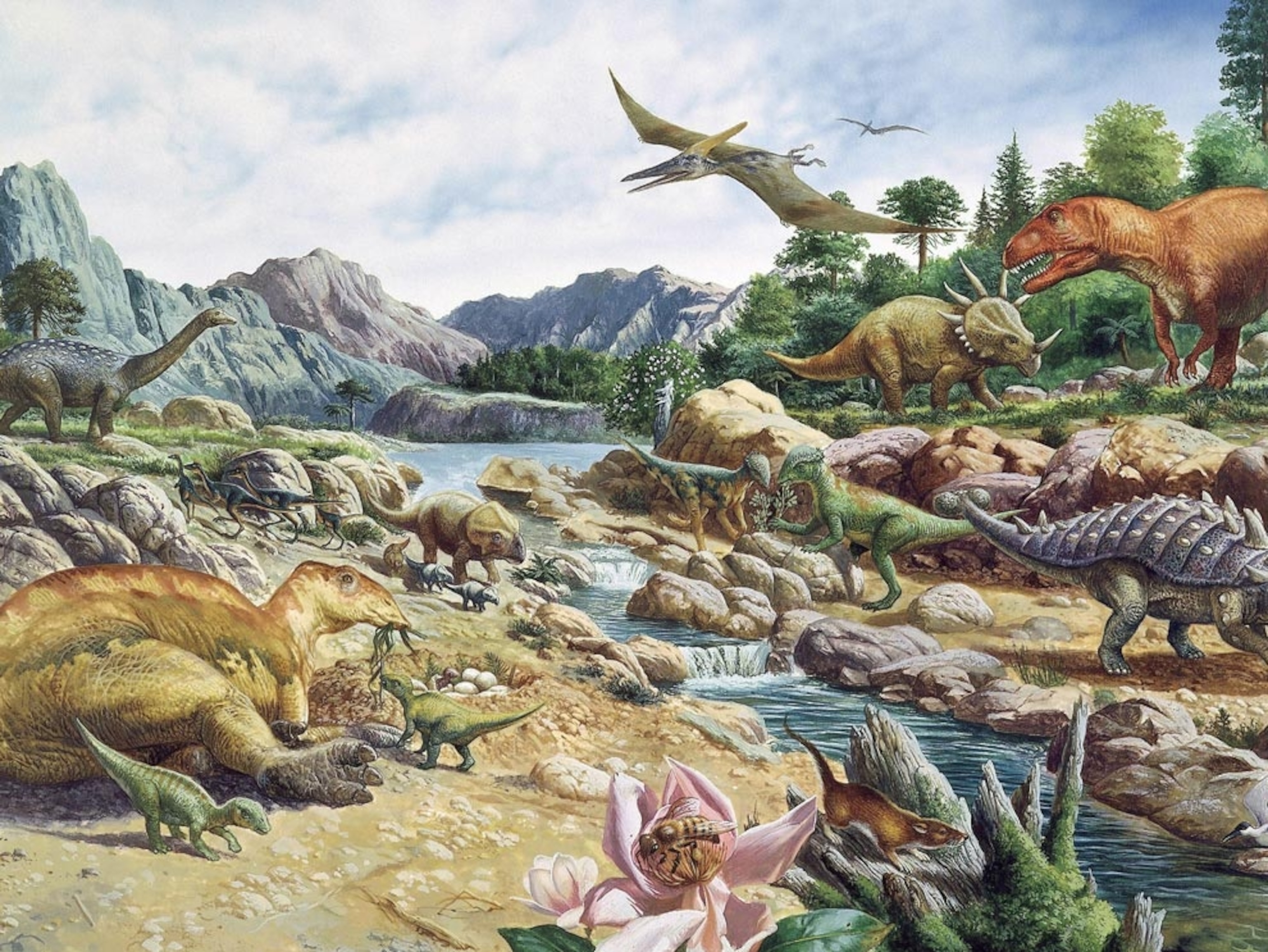 Cretaceous Animals And Plants