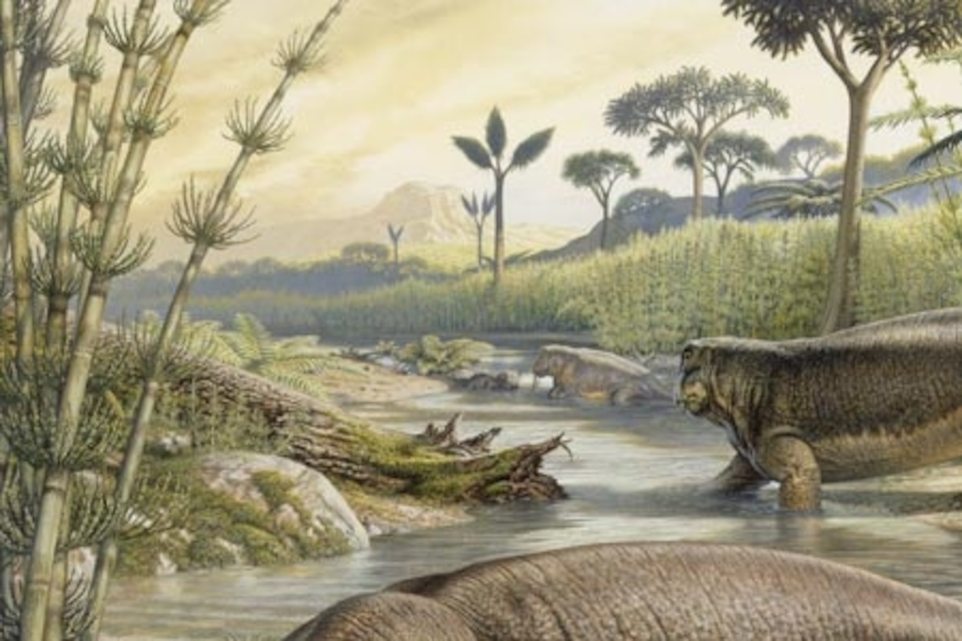 Organisms And Environment Triassic Period