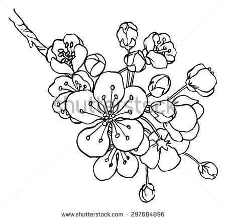 Apple Blossom Tree Drawing