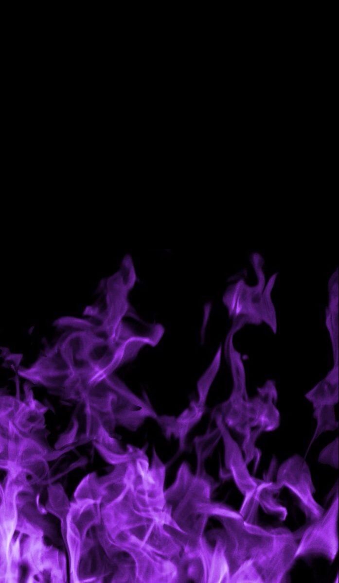 Purple Fire Pictures  Download Free Images on Unsplash