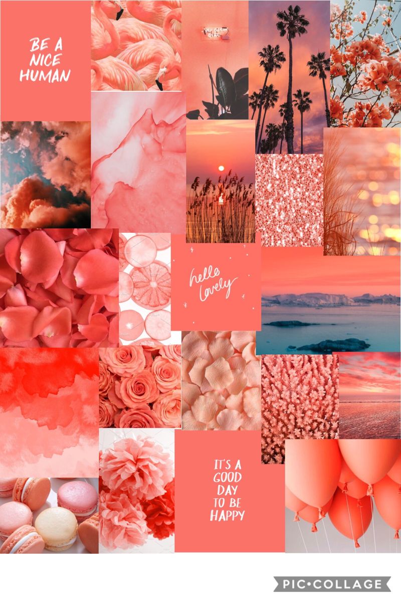 Turquoise and coral aesthetic  Peach  Aesthetic pastel  Coral Red and  Turquoise HD phone wallpaper  Pxfuel