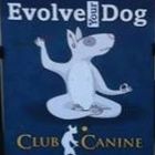 Club Canine ~ Home of The Thinking Dog System