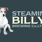 Steamin Billy - The Railway