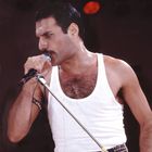 Freddie