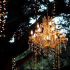 Outdoor Wedding Lights