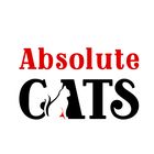 Absolute Cats | cat care tips | cat health care | cat products