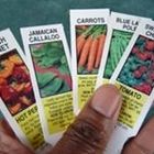 Caribbean Garden Seed