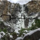 Tarynscapes