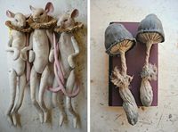 Mice and mushrooms by Mr Finch