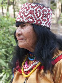 Divine Feminine energy is comprised of qualities such as love, understanding, compassion, nurturing, and empathy with others. Tenderness, gentleness, kindness are the aspects that the female Shipibo healers (onanya ainbobo) embody and this clearly shows through in the healing work carried out during ayahuasca ceremonies at the Temple: