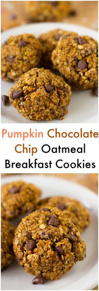 These Pumpkin Chocolate Chip Oatmeal Breakfast Cookies are cookies so healthy they can be eaten as breakfast! They’re super tasty, gluten free and vegan!