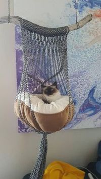 Macrame cat hammock