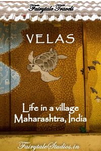 Visit a bygone era in this tiny remote village of India, Velas and learn about one of its kind community driven eco-conservation efforts. Velas is famous for turtle festival celebrated here as Olive Ridley sea turtles come here for nesting every year. #fairytalestudios #travelblog #travelindia #indiatravel #rurallife #ruralliving #ruralindia #villagelife #villageexperience #ruralexperience #velas #maharashtra #weekendoutings #mumbai #mumbaiweekends #photoblog #offbeattravel #offbeatindia