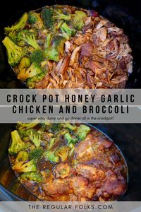 Crock Pot Honey Garlic Chicken and Broccoli - The Regular Folks