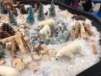 Creating a winter wonderland allows for children to experience hands on discovery based play about animals, seasons and their environment! 