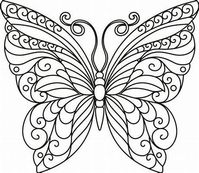 paper quilling patterns #quillingcards | Butterfly outline, Butterfly coloring page, Paper ...