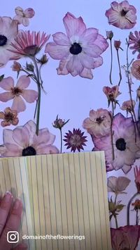 Timelapse of the creation of the modern, bespoke artwork Forever Pink by Domain of the Flowerings. This original botanical collage is composed of pressed flowers - Anemones, Roses, Gerbera Daisies, Columbine and Cosmos in shades of pink.