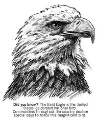 Eagle Head