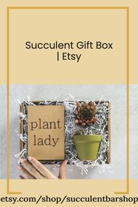 Succulent gift box includes engraved wooden card with phrase "Plant Lady", painted pot, one succulent, one bag of soil, one bag of decorative rock toppings and planting instructions.