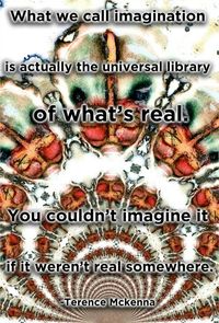 What we call imagination is actually the Universal library of what is real.  You could not imagine it if it was not real somewhere. Terence McKenna