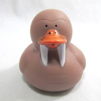 Walrus Rubber Duck from Noah's Arc Collection 2/27/16 #Walrus #ADuckADay