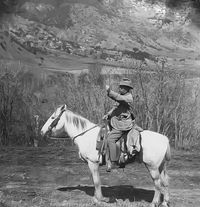 President Roosevelt on horseback with fist raised, mountains in background. Contributor Names H.C. White Co., publisher Created / Published North Bennington, Vt. : H.C. White Co., c1905 May 28. Retrieved from the Library of Congress, https://www.loc.gov/item/2010649007/.