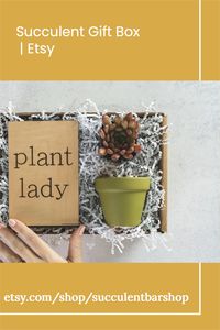 Succulent gift box includes engraved wooden card with phrase "Plant Lady", painted pot, one succulent, one bag of soil, one bag of decorative rock toppings and planting instructions.