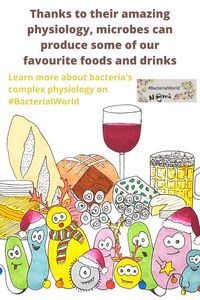 Microbes produce some of our favourite foods and drinks thanks to their complex physiology. #BacterialWorld https://sarahs-world.blog/tag/physiology/