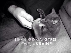 a black and white photo of a person petting a cat with the caption dear russian gtfo love ukraine