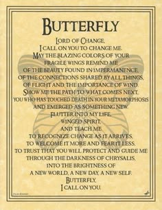 The Butterfly Prayer poster addresses the spirit of this wondrous creature, seeking to learn from its transformation, whimsical flight, and fragility. 8 12" x 11". Now Quotes, Animal Spirit Guides, Animal Spirit, Pagan Witch, Spirit Animals, After Life, Animal Totems, Prayer Board, Witchy Woman