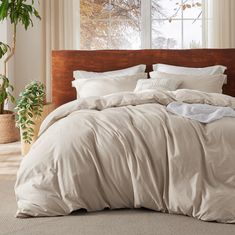 an unmade bed in front of a window with a potted plant next to it