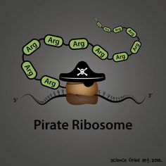 the pirate ribbosomee is being used as an art project