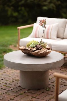 a table with a plant on it sitting in the middle of a brick patio area