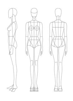 three female mannequins are shown in the shape of an torso and back