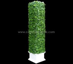 a tall white planter with green leaves on it's sides and a black background