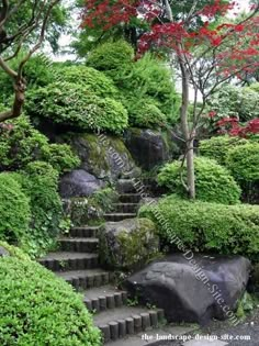 the steps lead up to an area with rocks and trees