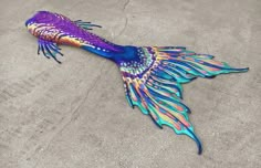 a colorful fish laying on the ground with it's tail spread out and its eyes open