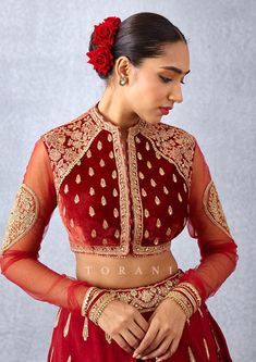 Velvet Blouse Designs Latest, Velvet Blouse Pattern, Velvet Choli, Hand Embroidered Blouse, Arabian Dress, Butterfly Net, Choli For Women, Silk Velvet Fabric, Indian Bridal Lehenga